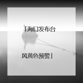 海口发布台风黄色预警