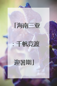海南三亚：千帆竞渡迎暑期