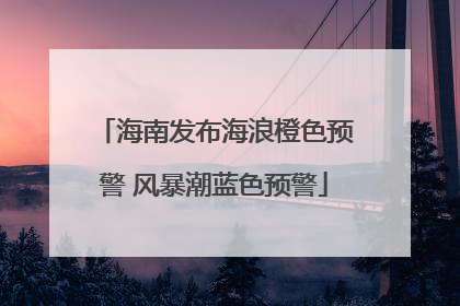 海南发布海浪橙色预警 风暴潮蓝色预警