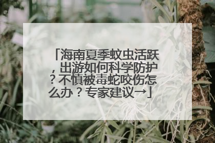海南夏季蚊虫活跃，出游如何科学防护？不慎被毒蛇咬伤怎么办？专家建议→