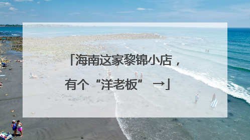海南这家黎锦小店，有个“洋老板” →