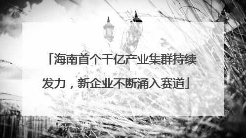 海南首个千亿产业集群持续发力，新企业不断涌入赛道
