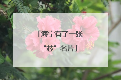 海宁有了一张“芯”名片
