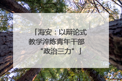 海安：以辩论式教学淬炼青年干部“政治三力”