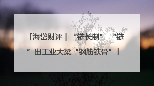 海岱财评｜“链长制” “链”出工业大梁“钢筋铁骨”