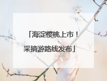 海淀樱桃上市！采摘游路线发布