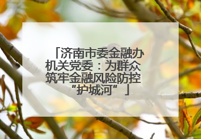 济南市委金融办机关党委：为群众筑牢金融风险防控“护城河”