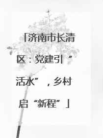 济南市长清区：党建引“活水”，乡村启“新程”