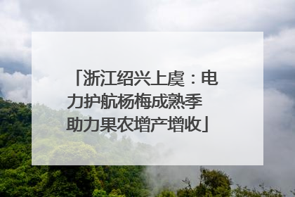 浙江绍兴上虞：电力护航杨梅成熟季 助力果农增产增收