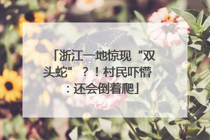 浙江一地惊现“双头蛇”？！村民吓懵：还会倒着爬