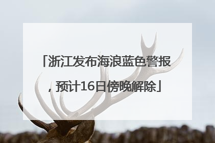 浙江发布海浪蓝色警报，预计16日傍晚解除