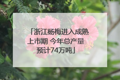 浙江杨梅进入成熟上市期 今年总产量预计74万吨