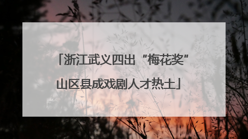 浙江武义四出“梅花奖” 山区县成戏剧人才热土