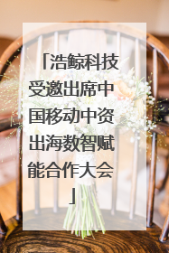 浩鲸科技受邀出席中国移动中资出海数智赋能合作大会