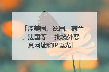 涉美国、德国、荷兰、法国等 一批境外恶意网址和IP曝光