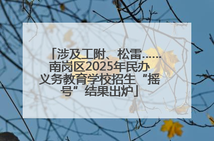 涉及工附、松雷……南岗区2025年民办义务教育学校招生“摇号”结果出炉