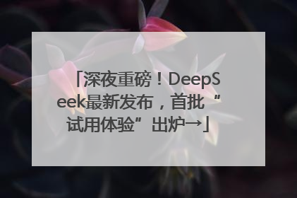 深夜重磅！DeepSeek最新发布，首批“试用体验”出炉→