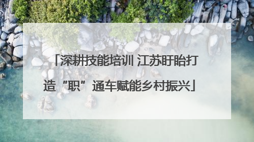 深耕技能培训 江苏盱眙打造“职”通车赋能乡村振兴