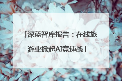 深蓝智库报告：在线旅游业掀起AI竞速战
