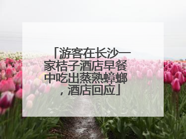游客在长沙一家桔子酒店早餐中吃出蒸熟蟑螂，酒店回应
