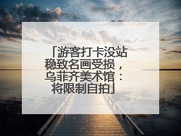 游客打卡没站稳致名画受损，乌菲齐美术馆：将限制自拍