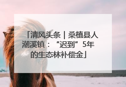 清风头条｜桑植县人潮溪镇：“迟到”5年的生态林补偿金