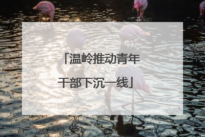 温岭推动青年干部下沉一线
