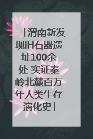 渭南新发现旧石器遗址100余处 实证秦岭北麓百万年人类生存演化史