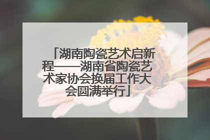 湖南陶瓷艺术启新程——湖南省陶瓷艺术家协会换届工作大会圆满举行