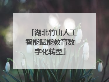 湖北竹山人工智能赋能教育数字化转型
