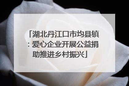 湖北丹江口市均县镇：爱心企业开展公益捐助推进乡村振兴