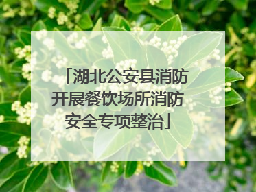 湖北公安县消防开展餐饮场所消防安全专项整治