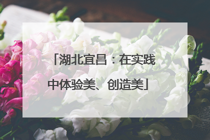 湖北宜昌：在实践中体验美、创造美