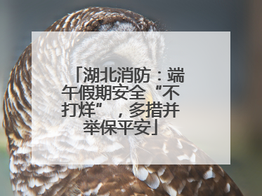 湖北消防：端午假期安全“不打烊”，多措并举保平安