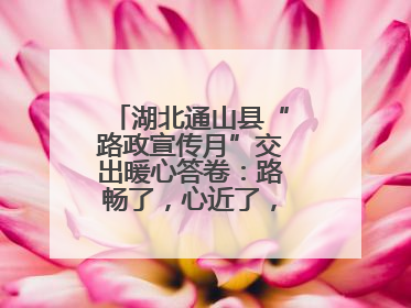 湖北通山县“路政宣传月”交出暖心答卷：路畅了，心近了，发展顺了！
