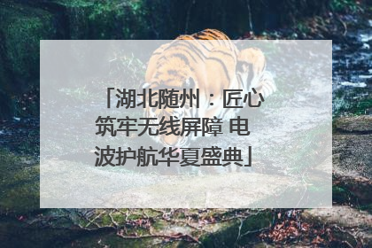 湖北随州：匠心筑牢无线屏障 电波护航华夏盛典