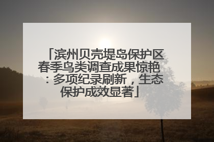 滨州贝壳堤岛保护区春季鸟类调查成果惊艳：多项纪录刷新，生态保护成效显著