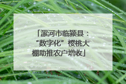 漯河市临颍县：“数字化”樱桃大棚助推农户增收