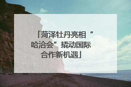 菏泽牡丹亮相“哈洽会”撬动国际合作新机遇