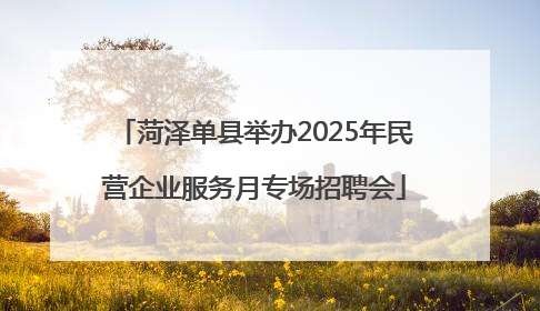 菏泽单县举办2025年民营企业服务月专场招聘会