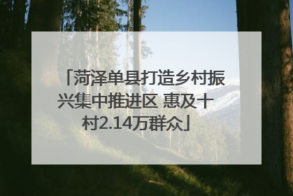 菏泽单县打造乡村振兴集中推进区 惠及十村2.14万群众