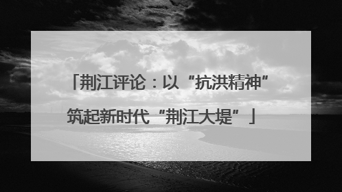 荆江评论：以“抗洪精神”筑起新时代“荆江大堤”
