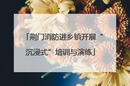 荆门消防进乡镇开展“沉浸式”培训与演练