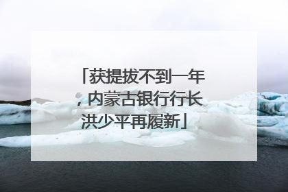 获提拔不到一年，内蒙古银行行长洪少平再履新