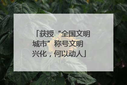 获授“全国文明城市”称号文明 兴化，何以动人