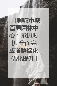聊城市城管局园林中心：抢抓时机 全面完成道路绿化优化提升