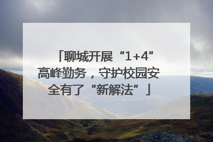 聊城开展“1+4”高峰勤务，守护校园安全有了“新解法”