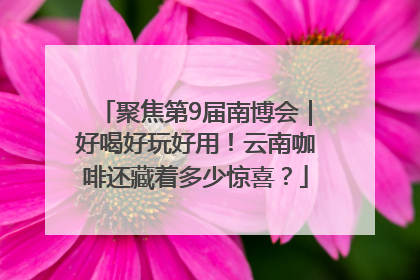 聚焦第9届南博会｜好喝好玩好用！云南咖啡还藏着多少惊喜？