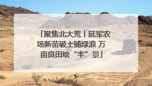 聚焦北大荒丨延军农场新苗破土铺绿浪 万亩良田绘“丰”景