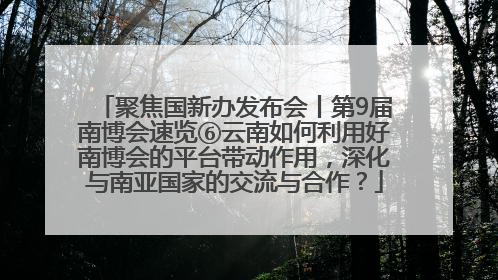 聚焦国新办发布会丨第9届南博会速览⑥云南如何利用好南博会的平台带动作用，深化与南亚国家的交流与合作？